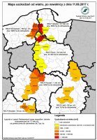 Mapa strat w Lasach Państwowych
