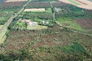 Klęska wiatrołomów w polskich lasach