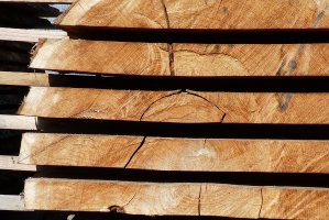 Klon: Wyniki finansowe za I półrocze 2017r.