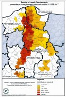 Lasy Państwowe ogłosiły "stan siły wyższej o zasięgu ponadlokalnym"