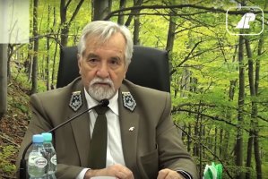 Lasy Państwowe chcą negocjować sprzedaż drewna z wiatrołomów z wybranymi podmiotami