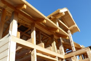 NFOŚiGW: 50 mln zł na dofinansowanie domów drewnianych