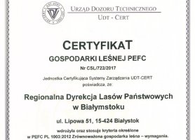 O certyfikacie PEFC RDLP Białystok - Komentarz