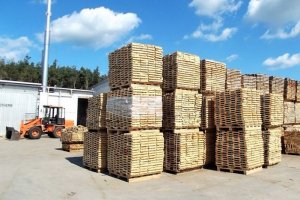 Standrew: Wyniki finansowe