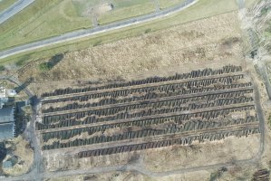 Wyniki 11. Submisji Drewna Szczególnego w RDLP Wrocław