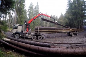 Nowe przepisy dotyczące transportu drewna