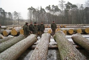 Wyniki 19. Submisji Drewna Szczególnego RDLP Katowice