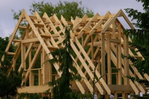 Leśna Solidarność przeciwna pomysłowi spółki Polskie Domy Drewniane