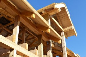 Leśnicy będą protestować przeciwko spółce Polskie Domy Drewniane