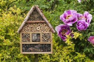 Drewniane domki dla pożytecznych owadów