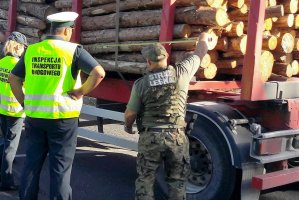 ITD i Straż Leśna wspólnie kontrolowały przewoźników drewna w Wielkopolsce