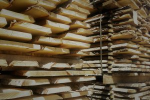 Klon: Wyniki finansowe za I półrocze