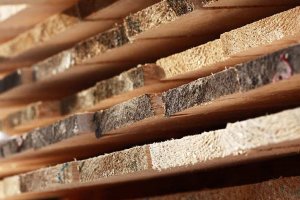 Biofactory: Wyniki finansowe za trzy kwartały 2018