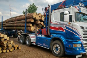 Sprzedaż otwarta surowca drzewnego - trwają dogrywki