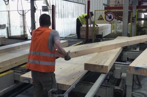 Pomimo koniunktury rosną długi branży drzewnej