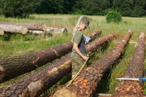 Kurs brakarzy drewna okrągłego - MARZEC 2020