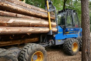 KPPD: Umowy na zakup surowca z Lasów Państwowych w 2019r.