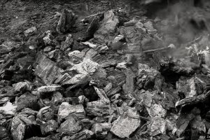 Kolejna polska firma z branży węgla drzewnego bez FSC