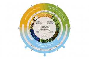 European Bioeconomy University: Sześć uniwersytetów tworzy międzynarodowy sojusz w dziedzinie biogospodarki