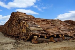 Schweighofer, Kronospan i Egger wśród firm podejrzanych o zmowę na rynku surowca w Rumunii 