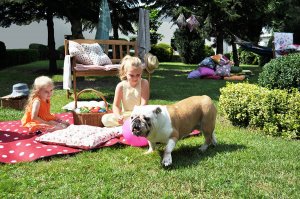 Opoka dobrego stylu i nowoczesna klasyka, czyli wszystko o drewnianych meblach do ogrodu