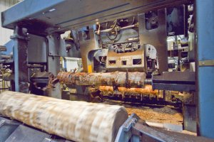 Paged zamyka zakład produkcji sklejki w Ełku