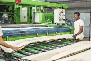 Danzer zamyka zakład produkcyjny we Francji