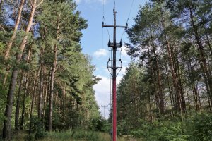 Do 13. sierpnia trzeba złożyć oświadczenie, aby skorzystać z niższej taryfy prądu