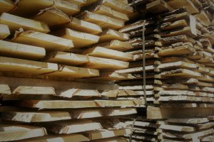 Klon: Spadek krajowego popytu na tarcicę liściastą