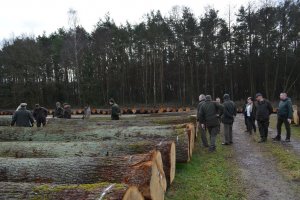 Submisja drewna cennego w RDLP Radom