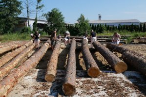 Kurs brakarzy drewna okrągłego - PAŹDZIERNIK 2019