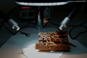 Muzeum Narodowe Rolnictwa i Przemysłu Rolno-Spożywczego w Szreniawie doposaża pracownie konserwatorskie