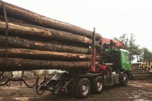 KPPD: Umowy surowcowe z Lasami Państwowymi