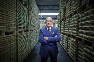 Stelmet: Sprzedaż architektury ogrodowej w Niemczech oraz pelletu w Polsce napędza wzrost przychodów