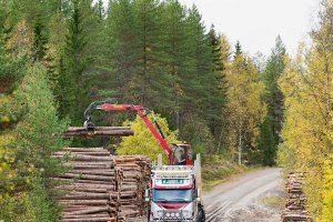 Szwedzcy właściciele lasów łączą siły