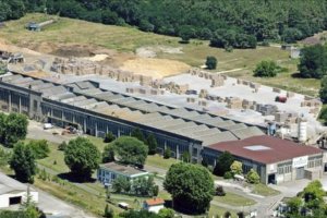 Steico zawiesiło produkcję we Francji