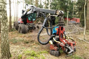 Kosianiak-Kamysz z interpelacją w sprawie współpracy Lasów Państwowych z przedsiębiorstwami leśnymi