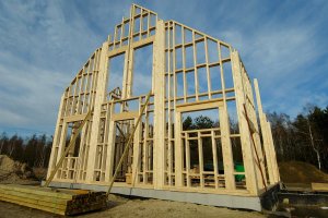 Posłowie Parlamentu Europejskiego za większym wykorzystaniem drewna