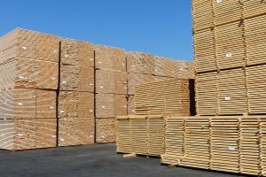 Niemcy: Składy drzewne spodziewają się rosnących problemów