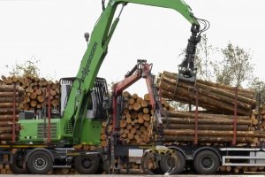 Skandynawski przemysł drzewny bez wpływu pandemii