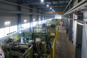 PIGPD: Lasy Państwowe niszczą polski przemysł drzewny