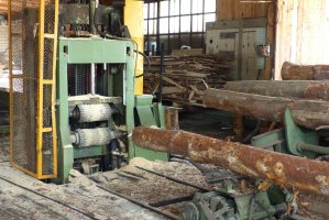 Znika rządowy Zespół ds. Rozwoju Przemysłu Drzewnego