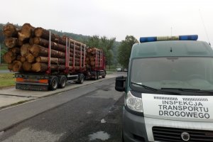 Transport drewna na bakier z normami