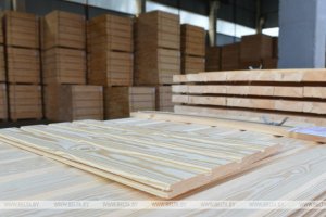 Rośnie białoruski eksport przemysłu drzewnego