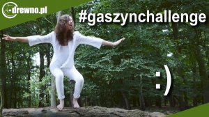 Drewno.pl: Odpowiedź na wyzwanie #gaszynchallenge