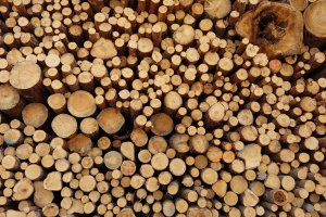 Senat odrzucił nowelę ustawy o OZE