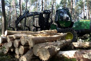 Drewno energetyczne: Sejm odrzucił veto Senatu w sprawie nowelizacji ustawy OZE