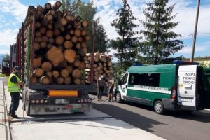 Wzmożone kontrole przewozu drewna na Śląsku