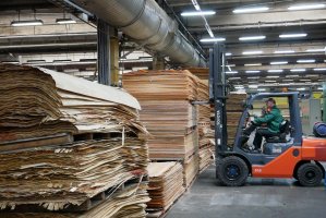 Rosyjska sklejka brzozowa objęta postępowaniem antydumpingowym