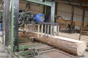 Komisja Europejska zaakceptowała schemat pomocy dla przedsiębiorstw drzewnych zapisany w Tarczy 3.0